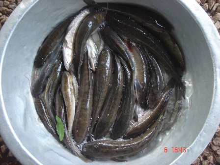 เราสองคน