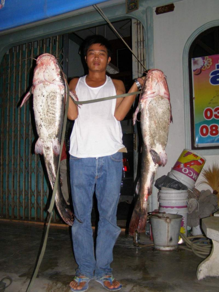 กดคังหลงน้ำท่วม