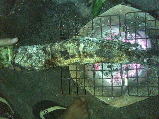 ช่อนน้อยปราจีนฯ