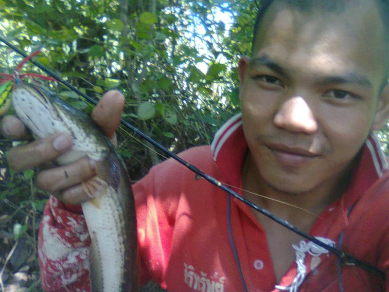 ผลพลอยได้จากน้ำท่าวมยโสธร