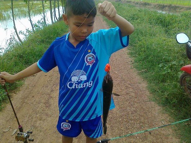 น้ำท่วม ตกงาน เลยมีเวลาหาหมาย