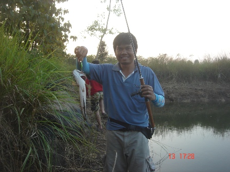 วันแห่งความ...สุข