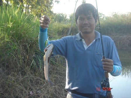 วันแห่งความ...สุข