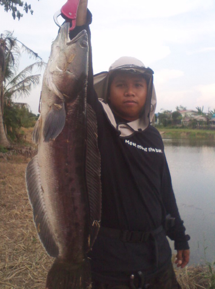 เทกซัสชวนชมมันเบื่อมาก ครับ
