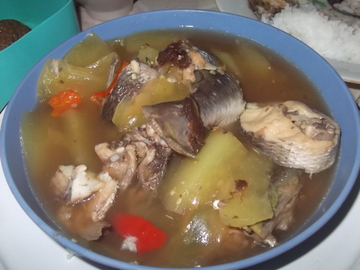 ตกปลาช่อนได้ปลากดเฉย