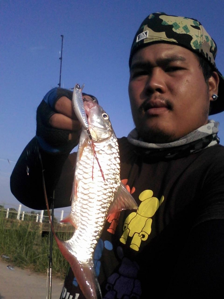 กระสูบ เมืองสิงห์ 2