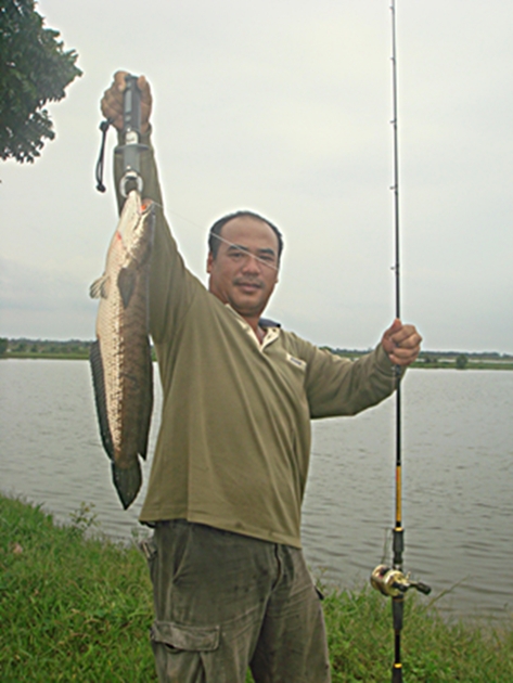 ช่อนยักษ์ ภาค 2 วันที่ 4 ธันวานี้