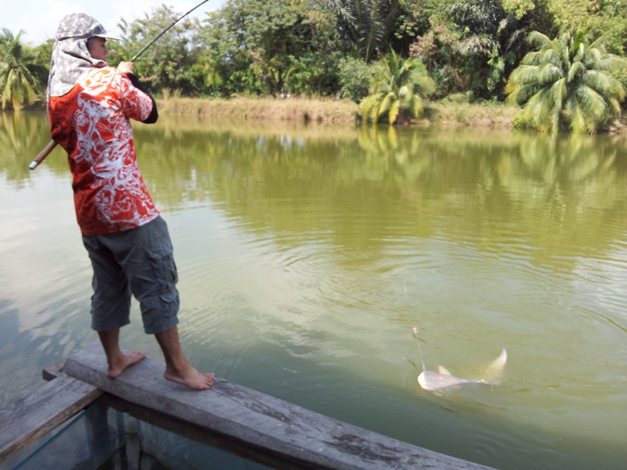 เก่าสำหรับเขาใหม่สำหรับผม