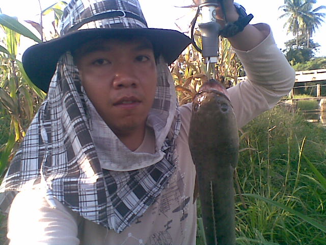          .......ช่อนโทน   ยามเย็น......