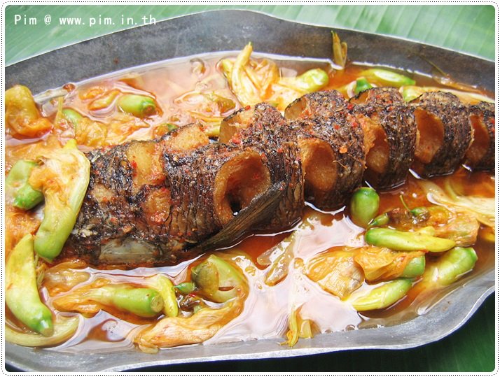 พาสองสาวไปกินแป๊ะซะปลาช่อนที