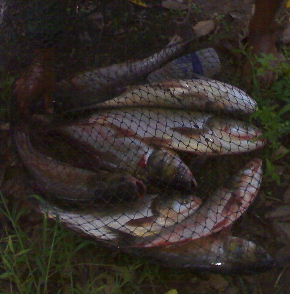 ไปล่าน้องจีนกัน