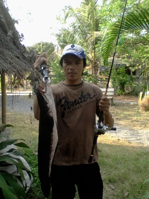 ลองส่งคับ