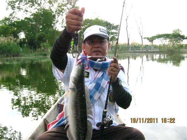 ใครว่าบางพระมีแต่แห้ว