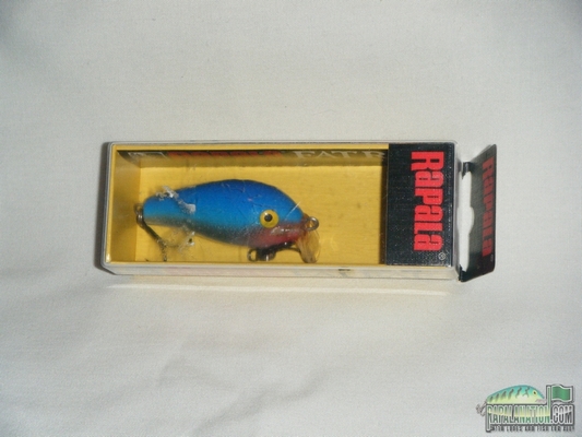 สอบถามผู้รู้ Rapala fatrap  sfr 5 สี B