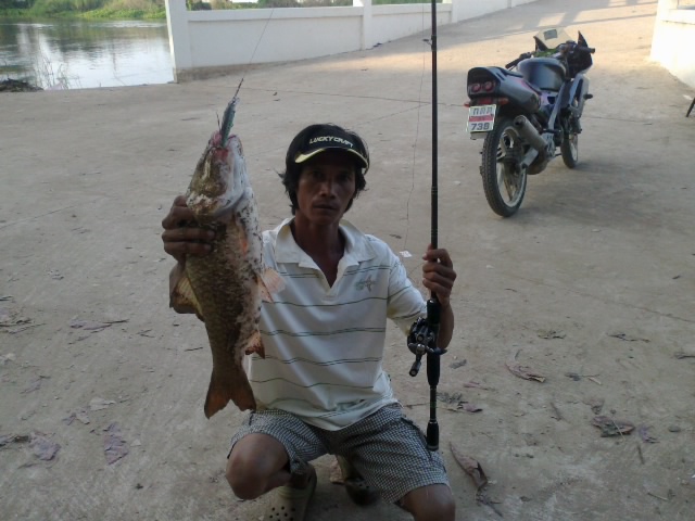 เหยื่อปีศาจสไตล์ เอ โมบาย
