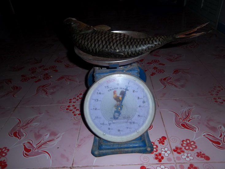ไปซ้ำปลากระสูบเขื่อนสิรินธรวันนี้วันอาทิตย์27 ครับ