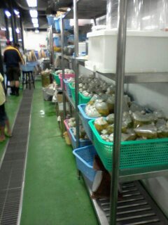 น้ำมาไม่ได้ไปไหน ทำจิตอาสากันเถอะ
