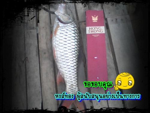 พัทลุงน้ำท่วมแล้วคับ มากับน้ำคับ 