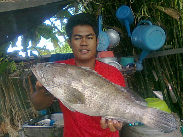 เก๋าจริงนะ^^! 