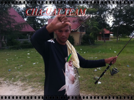 ปลานครศรีฯ(ไปตีปลาช่อนแต่ดันได้ไอ้ตัวนี้มา......)