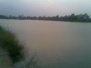 วันว่างพาพ่อกับหลานไปตกปลา @ นครปฐม