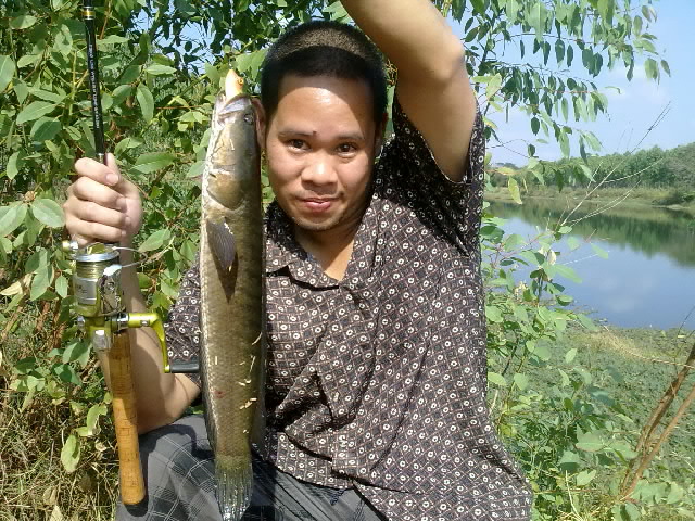 ปลาช่อนแถวปราจีนบุรี