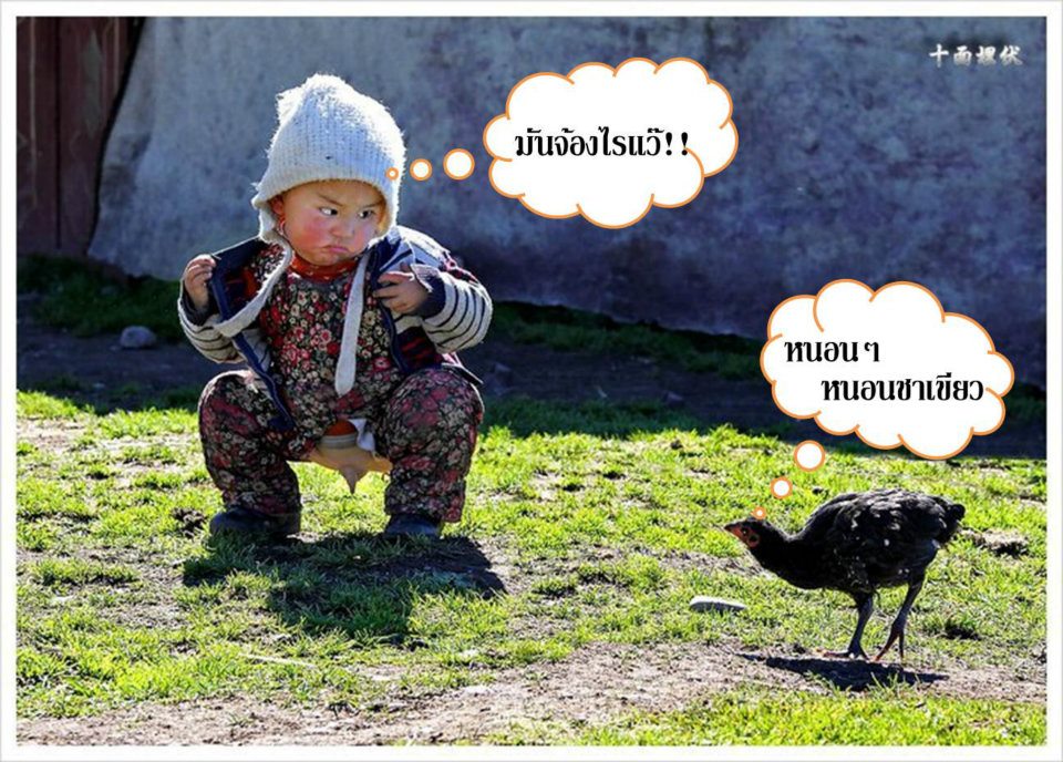 เมื่อแม่ไก่อยากกินหนอนน้อย