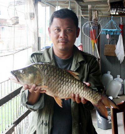 กระสูบเขื่อนเพชร