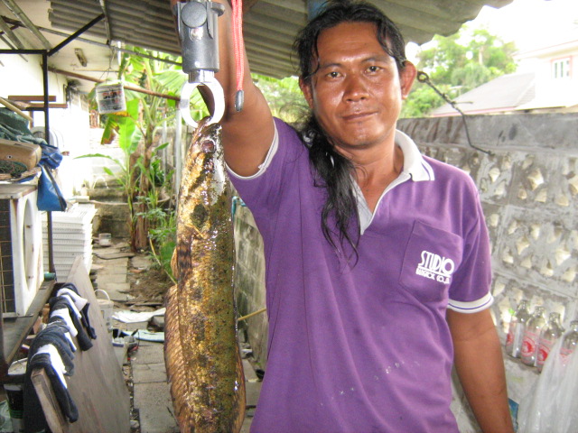 กะสงของเพื่อนในยามไม่มีแดด
