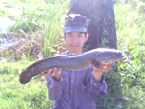 พี่ช่อน จัดเต็มครับ+++