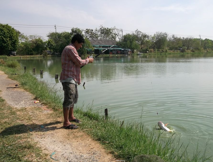 ตกปลาที่พรัชพริ้ง