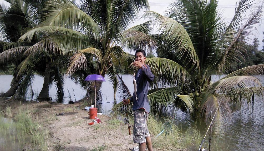 ลองส่งอีกทีคับ