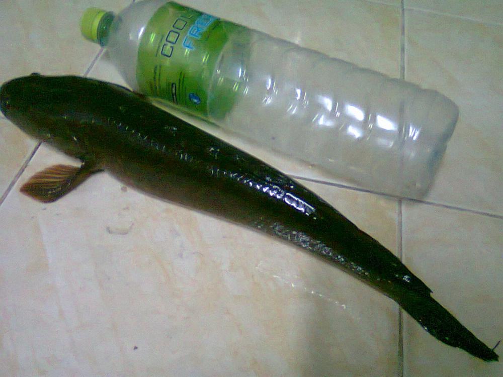 TEST เหยื่อ