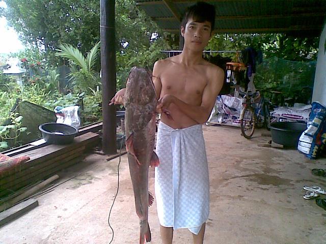 ชะโด วานรนิวาส  สกลนคร