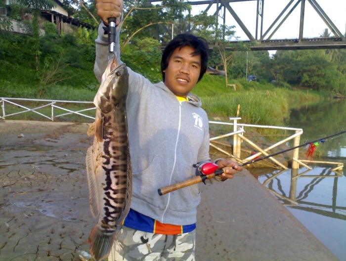 นายโต้กับชะโด คลองหลังสวน ชุมพร 
