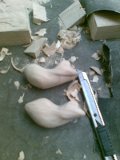 ลองทำดูกะเขามั่ง2