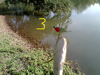 ช่อนแม่สอด..นายกรานต์