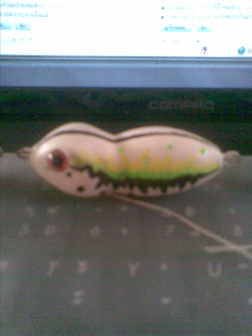 >>>>>> หัดทำสีกบ ชุดที่ 4 <<<<<