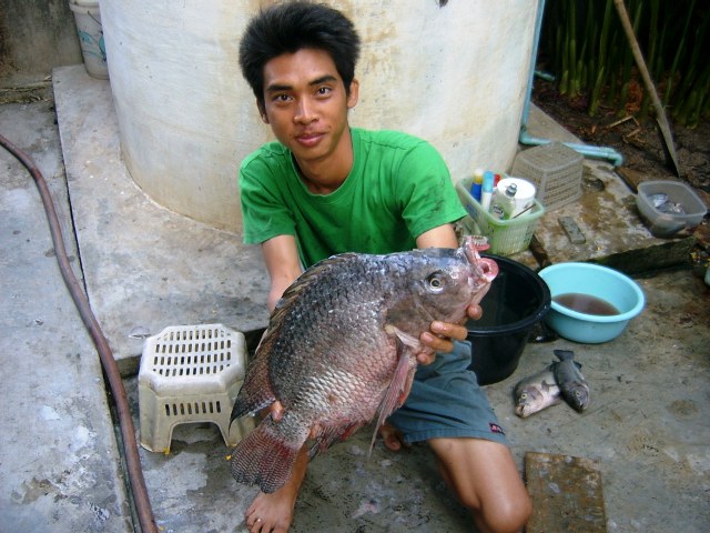 หมู__มหานครมาแว้ว555