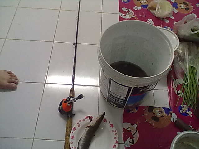 รวมร่างหมานเลย