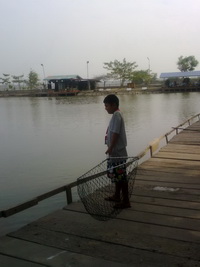 ไม่ต้องไปถึงบึง