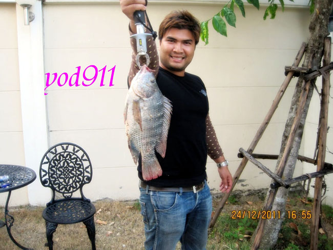 ขอโชว์บ้างนะ 