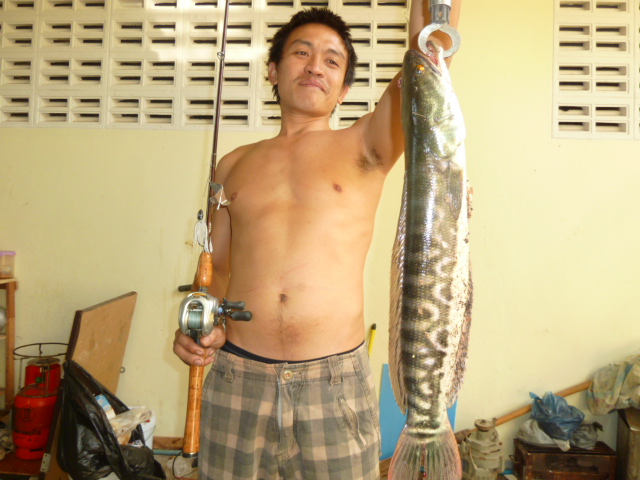 เทสบัสเบส บอยเทพ