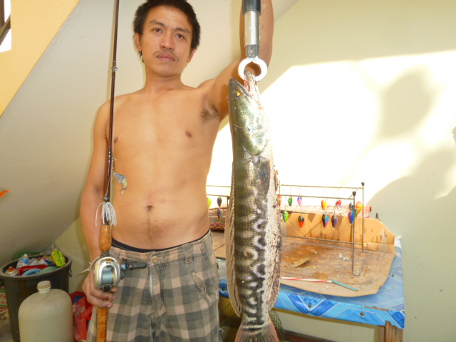 เทสบัสเบส บอยเทพ