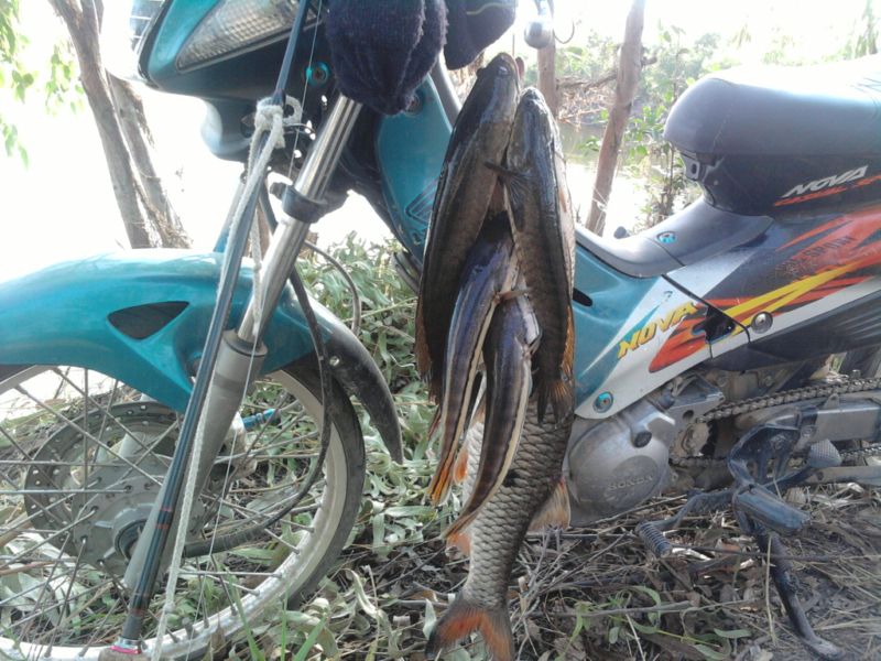 เทสรอกใหม่+โดดตัวเดิม 