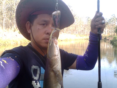 ช่อนกรุแตก...กัดกบโดด..ที่เมืองฉอด