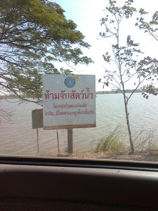 คำเตือน!!!!! สำหรับนักตกปลา ที่หนอง7 เส้น