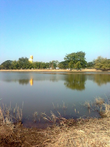 บังอาจ กัดขาลูกน้อง 