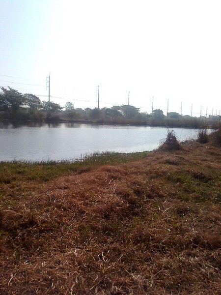 บังอาจ กัดขาลูกน้อง 