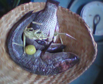 ลองส่งก่อนปีใหม่....ที่แสมดำ 